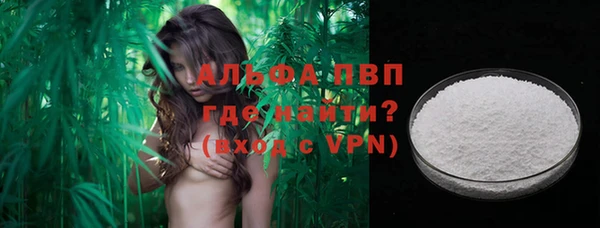 дживик Бородино