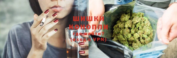 дживик Бородино