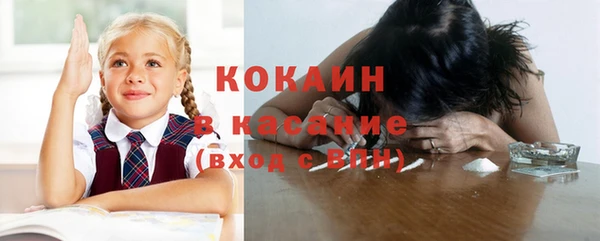 дживик Бородино