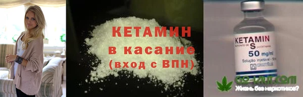 дживик Бородино
