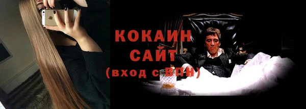 дживик Бородино