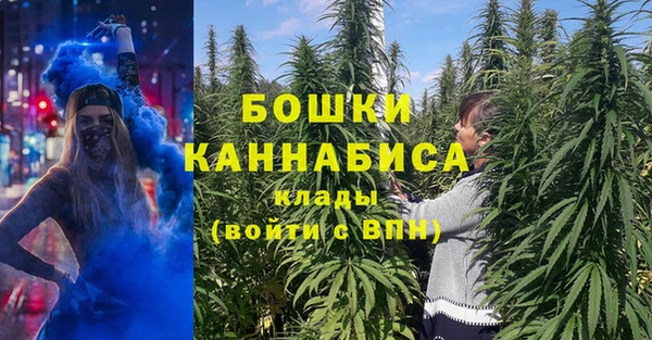 дживик Бородино