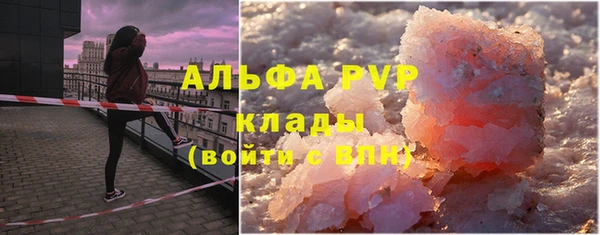 дживик Бородино