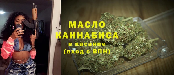 дживик Бородино