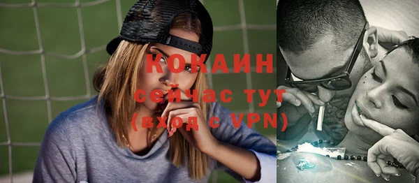 дживик Бородино