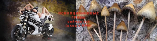 мескалин Бронницы