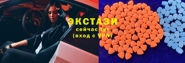 дживик Бородино