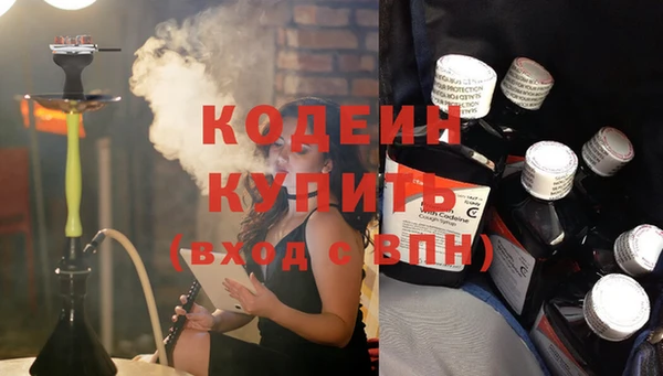 дживик Бородино