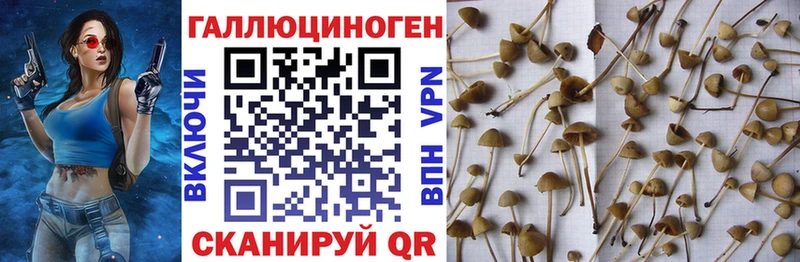 Галлюциногенные грибы мухоморы  даркнет сайт  нарко площадка клад  Северобайкальск 